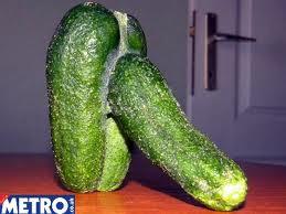 abatériadopepino.jpg