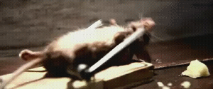 ratoeira.gif