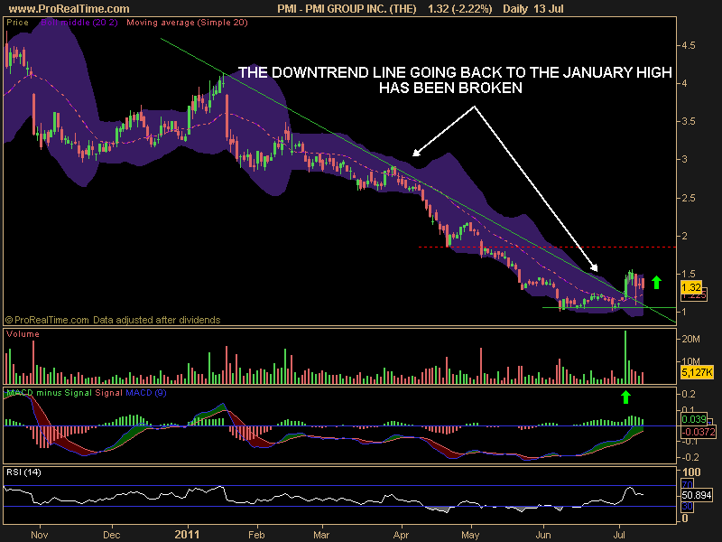 PMI GROUP INC. (THE).png