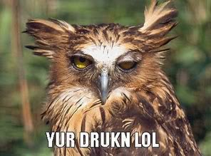 DrunkOwl.jpg