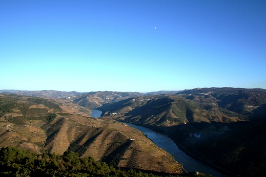 Douro IV.jpg