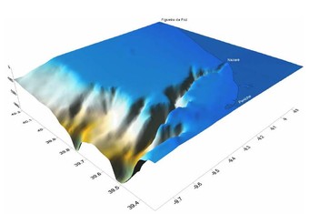 340x255.jpg