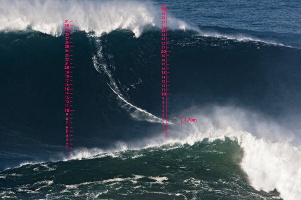 383880_272270506151173_100001046772500_828314_1486240753_n.jpg