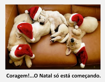 imagens+engraçadas+1.png