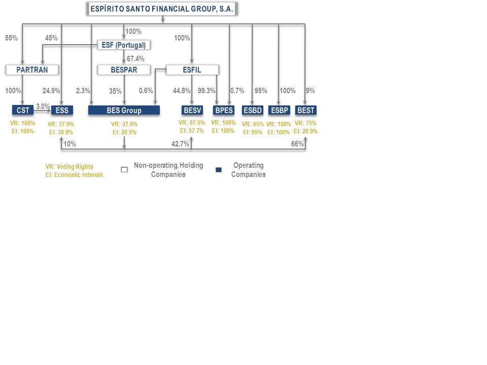 group structure.MAR2012.jpg