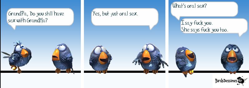 birds.jpeg
