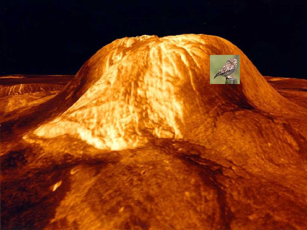 VenusMountain.jpg