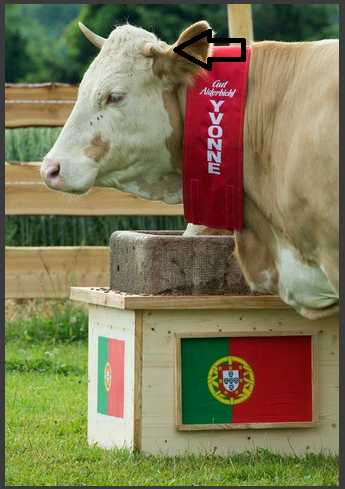 vaca1.png