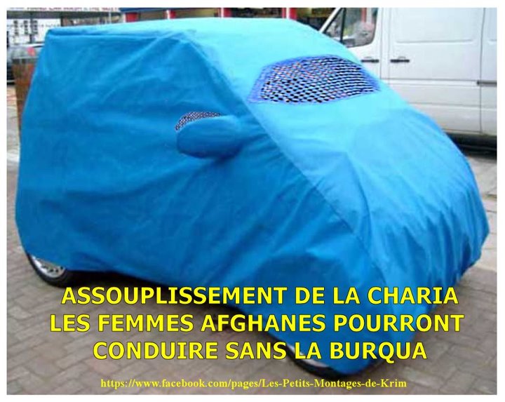 carro.jpg