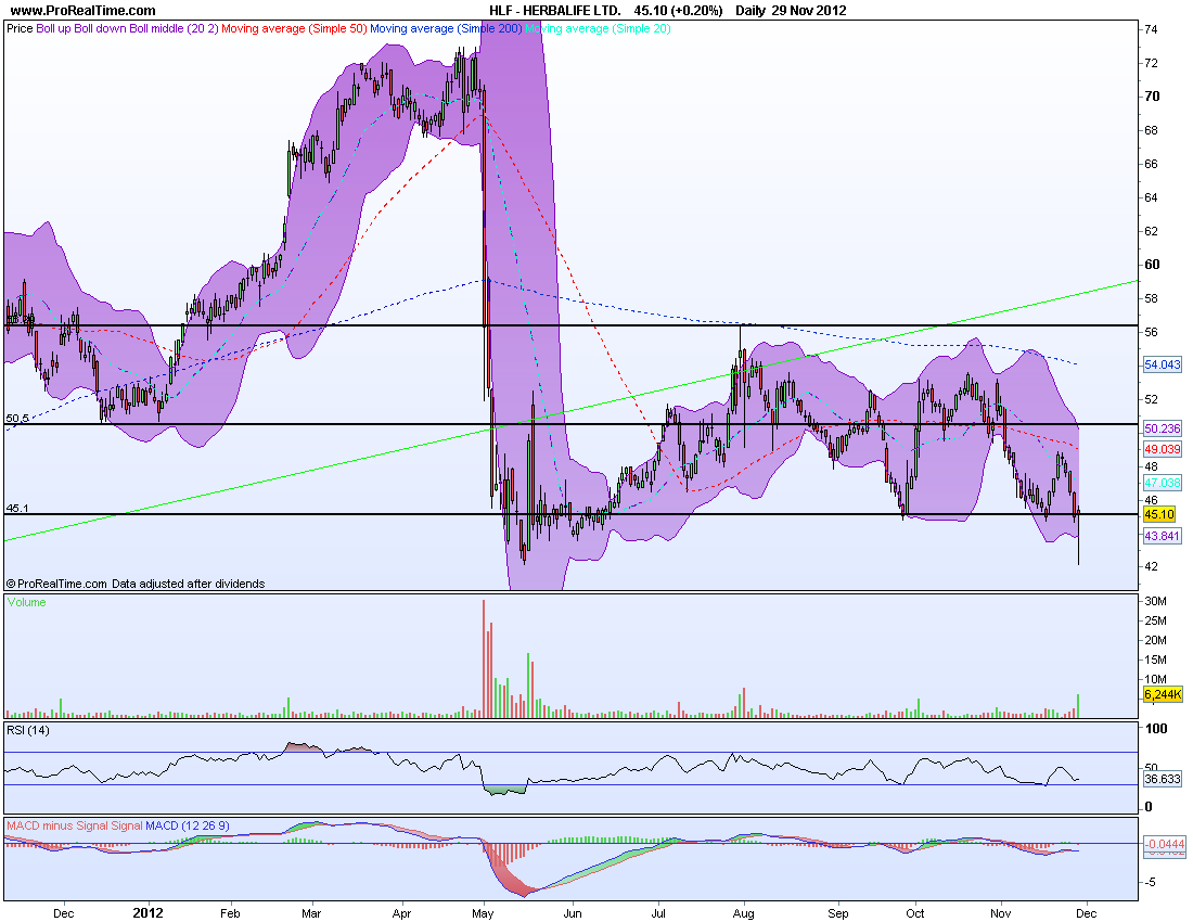 HERBALIFE LTD..png