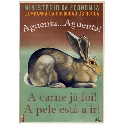 coelho2.png