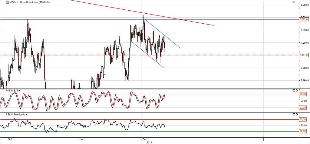 Ibex_fut2.jpg
