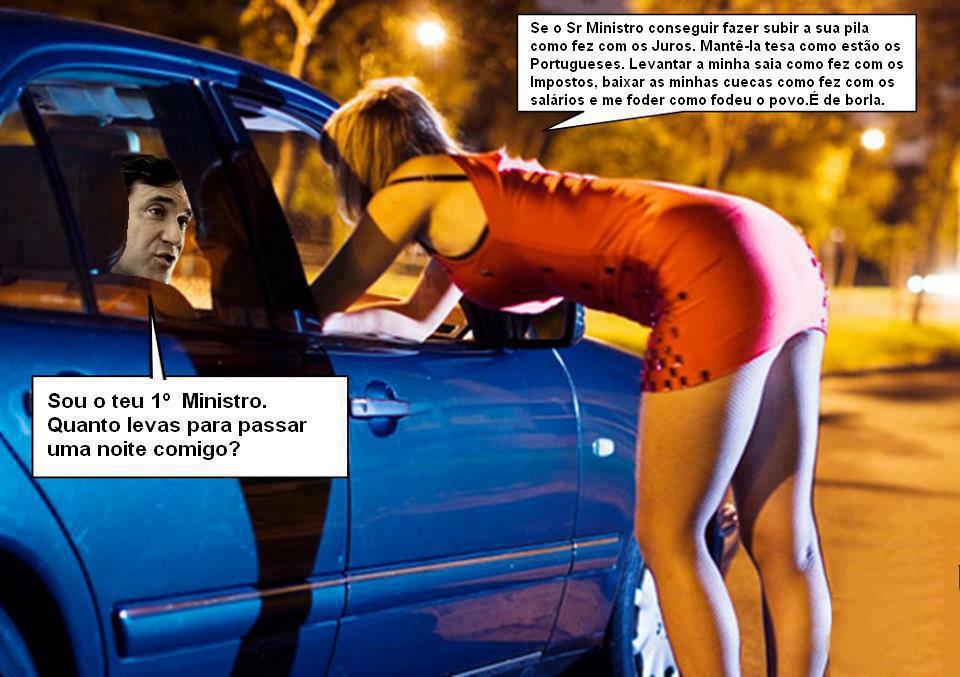 coelho e as coelhas.jpg