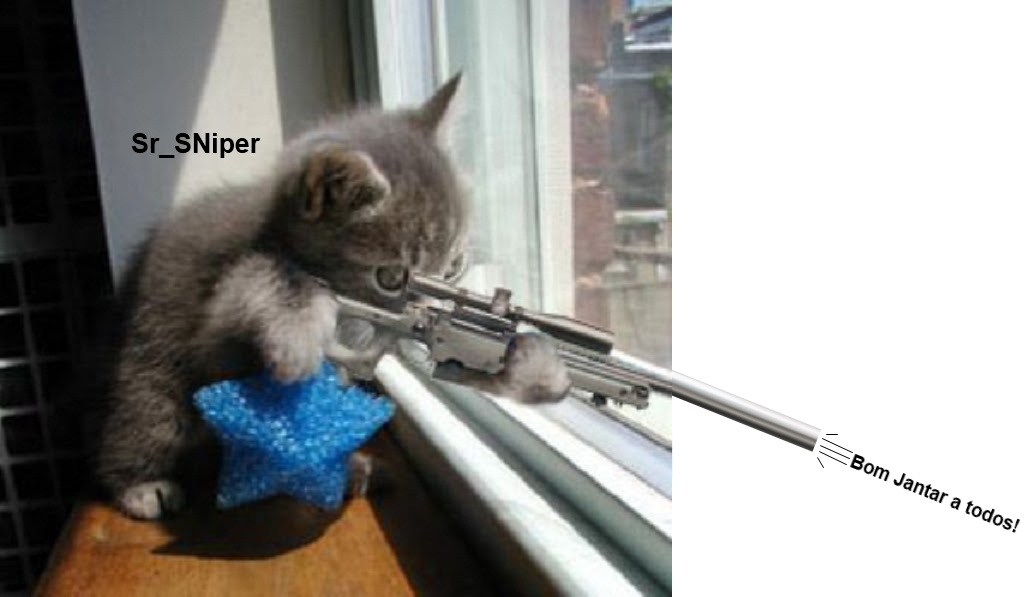 sn_sniper.jpg