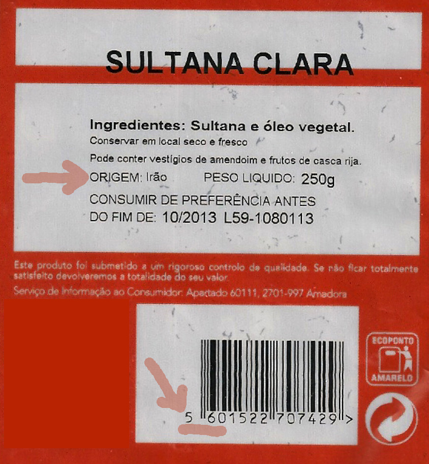 sultanas ayatollah.jpg