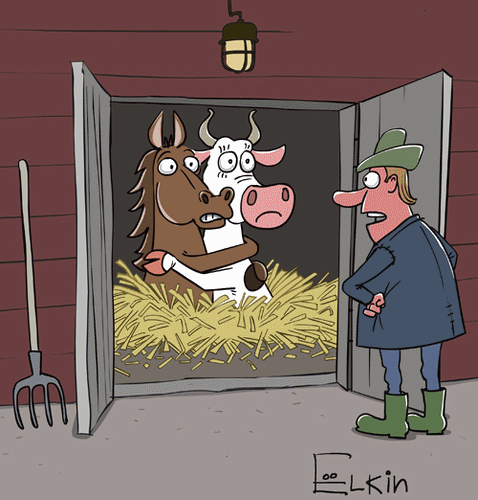 dna_horses_1933915.png
