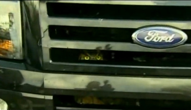 Owl-Stuck-In-Grill.jpg