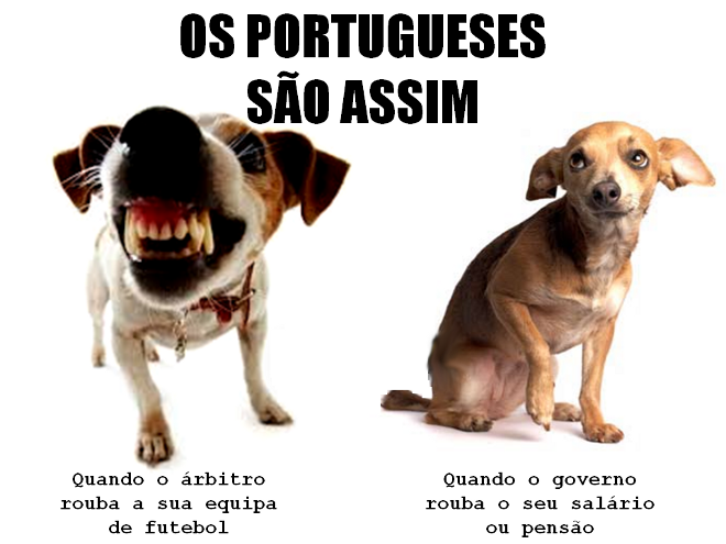 portugueses.png