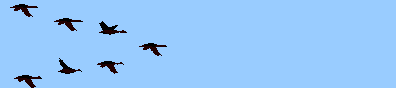 ganso02[1].gif