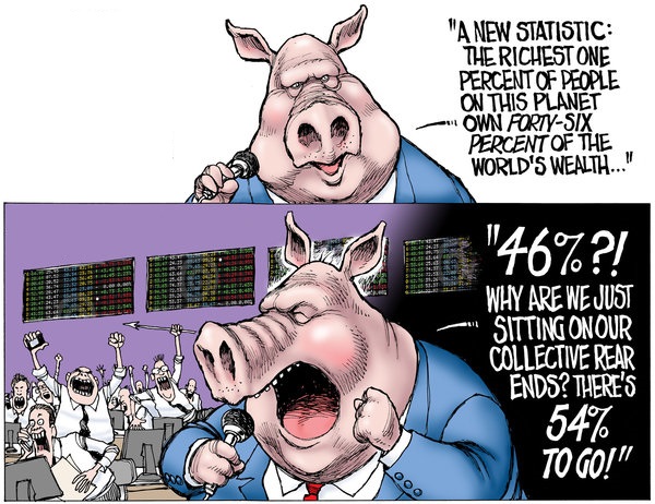 pig.jpg