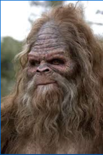 sasquatch.PNG