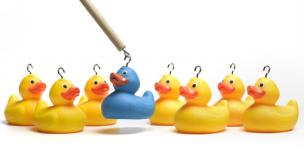 choose the right duck.jpg
