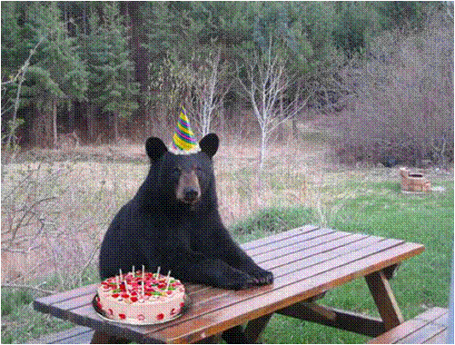 Imagem1.gif