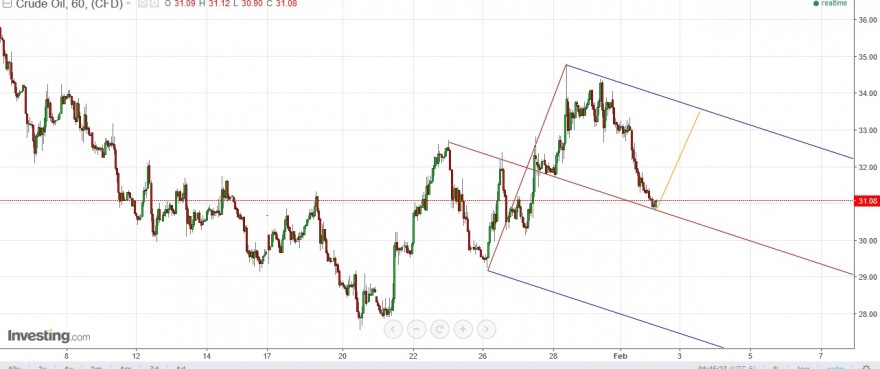 crude 1h..jpg