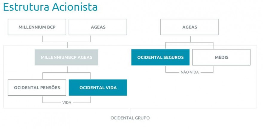 Estrutura Acionista.jpg