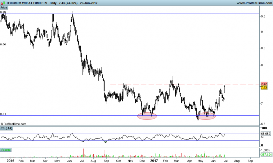 TEUCRIUM WHEAT FUND ETV.png