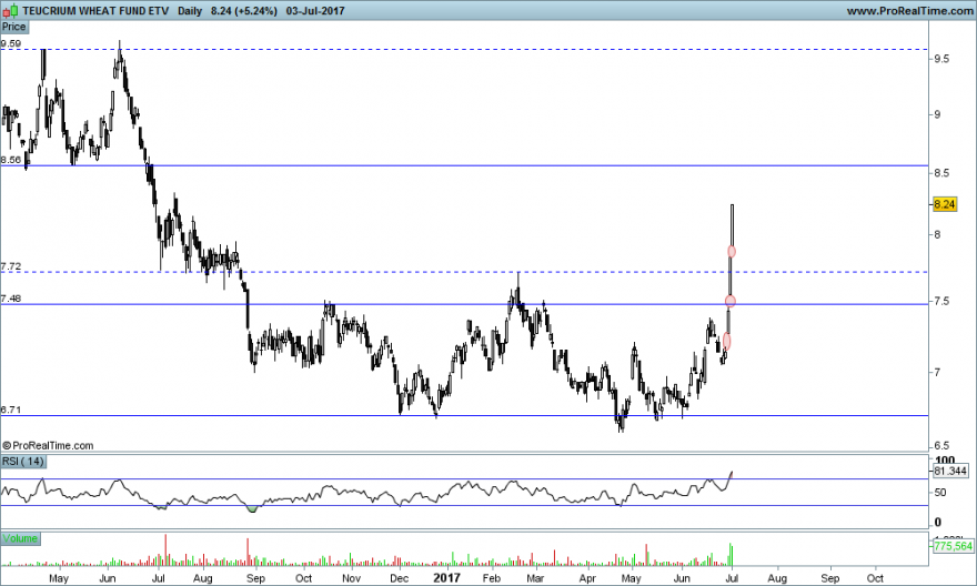 TEUCRIUM WHEAT FUND ETV.png