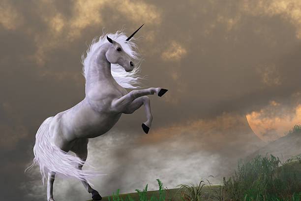 UBER = UNICORN x 100.jpg