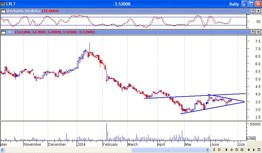 LVLT 20040624.JPG