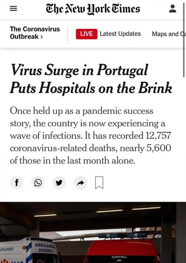 NYT.jpeg