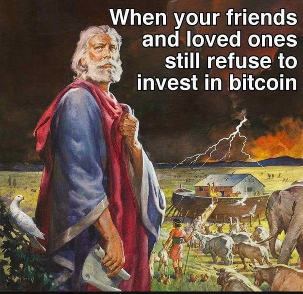 A arca de Noé para os que querem escapar do dilúvio das bitcoins e shitcoins.jpeg
