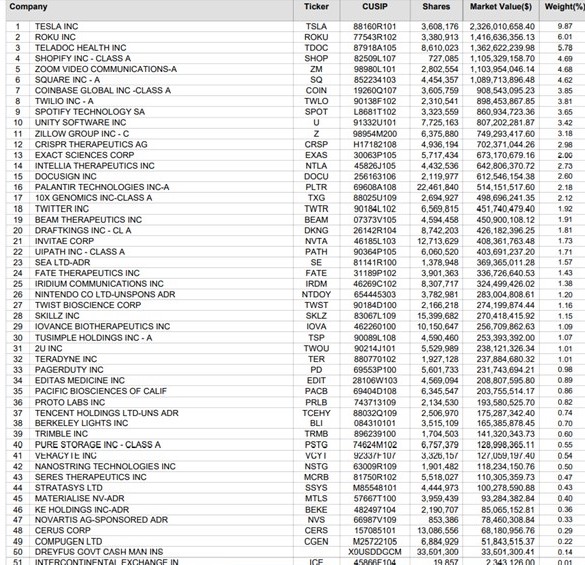 Arkk innovation vejam se as top 50 holdings não representam exemplarmente Growth e valorização em ciclos Bull longos.jpg