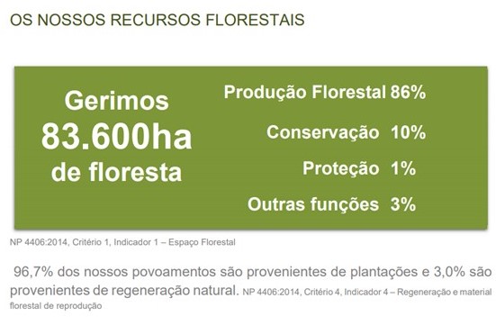 Altri promove e protege 8640 hectares consagrados a espécies autóctones e â biodiversidade.jpg