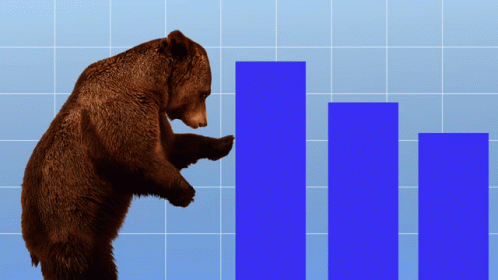 stock-market-bear-market.gif