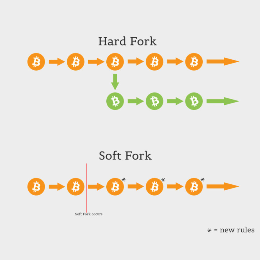 Soft Hard Fork.jpg
