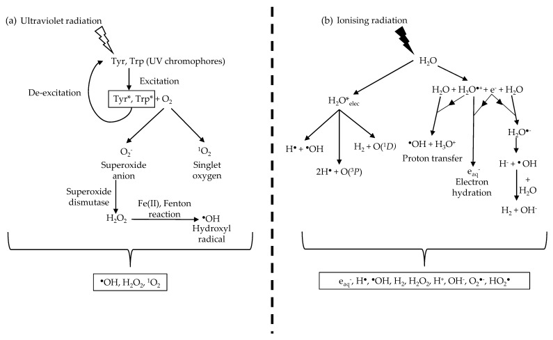 mechanism.jpg