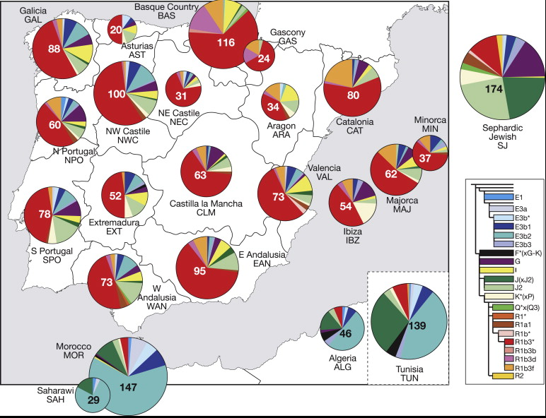 mapa genetico.PNG