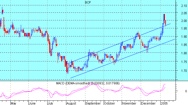 BCP112005.gif