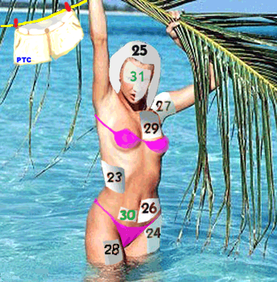 22aJan.gif