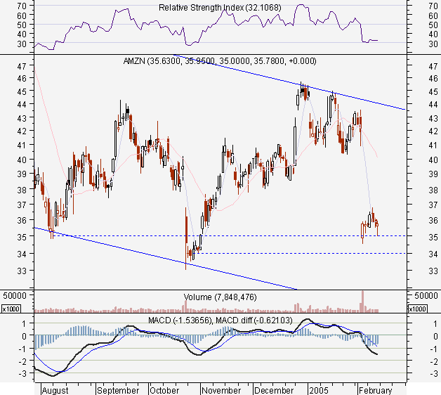 AMAZON11fev2005d.PNG