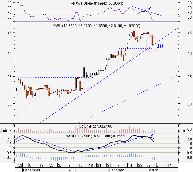 aapl04mar2005.PNG