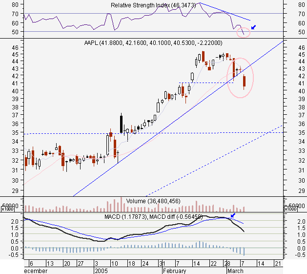 aapl08mar2005.PNG