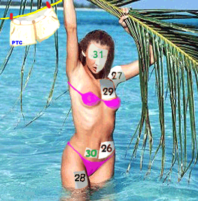 26Jan.gif