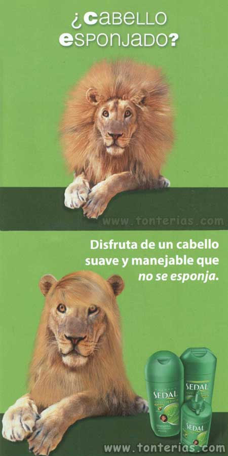 shampoo sportinguistas.jpg