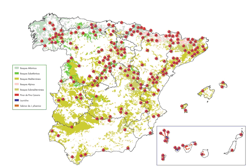 bosques espanha.gif