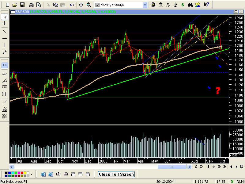 Sonho dos bears 2.PNG